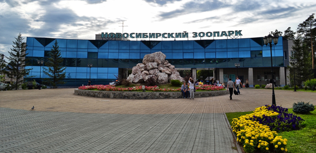 Процентные ставки кредита для пенсионеров в сбербанке