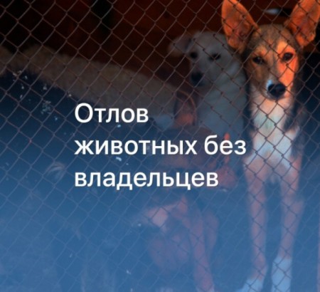 CpHa-e5bxirSX3b9FsmtCth_cC65nraXaA9TzTWuyx6sLjREfDMCrolmrGCOxVfBftWzIHnVNlsDsxTpcjYHl0Y_