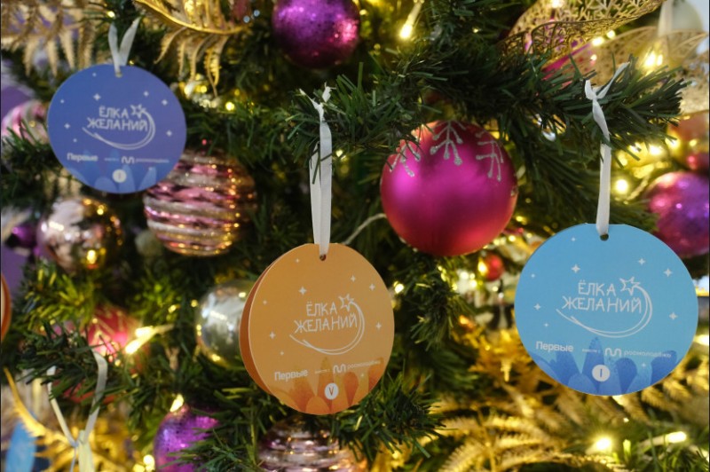 DSCF5427_copy_2560x1707