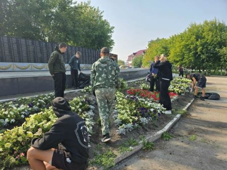 трудовой деспнт